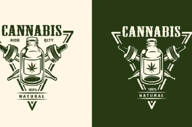 CannaStyke: Revolutionizing the Cannabis Lifestyle Scene