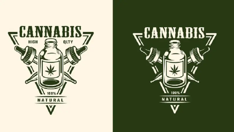 CannaStyke: Revolutionizing the Cannabis Lifestyle Scene